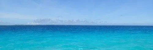 り🐣ᩚ @取引垢 banner