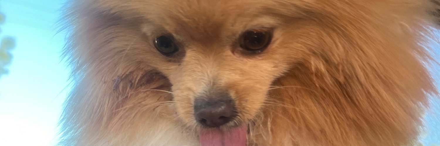 sosojackie's profile banner image