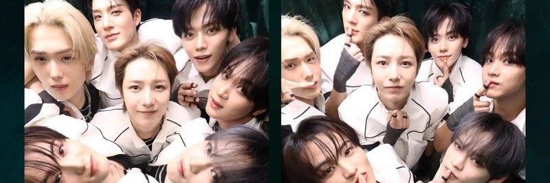 🌻 + 🌞 = 💚 banner
