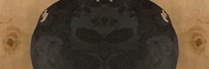 Source player 81 banner