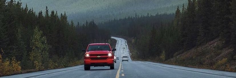 🐾🇳🇬1st-PETER👩‍🌾 🐾 banner