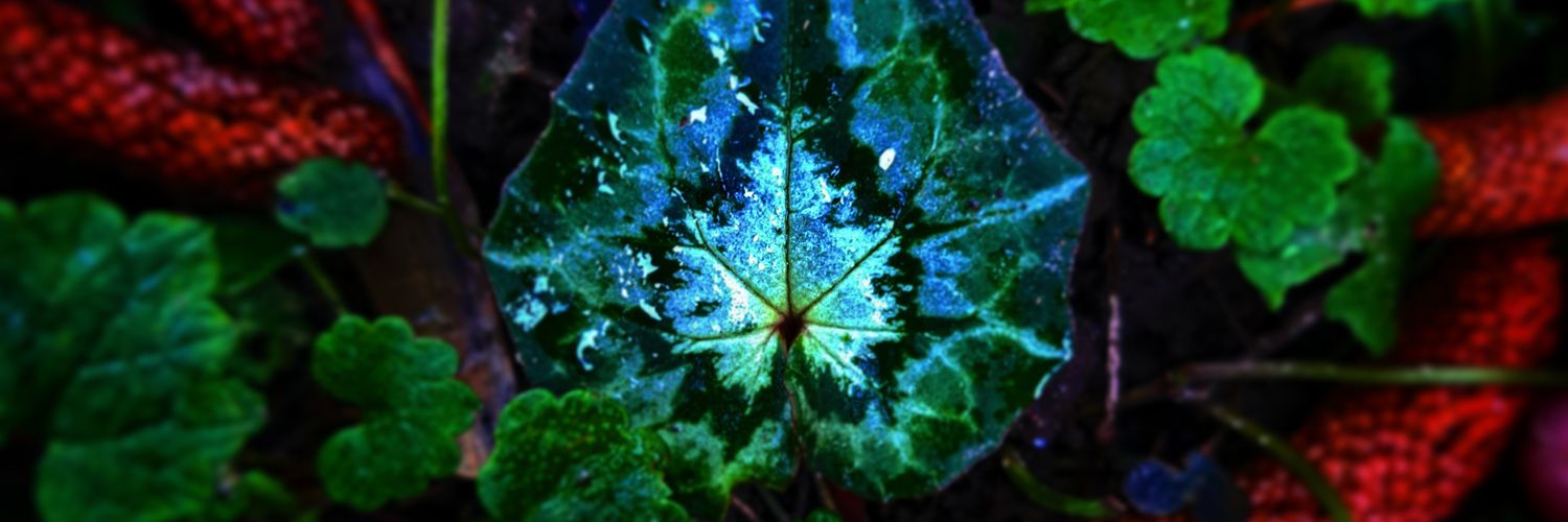 Morphing Science banner