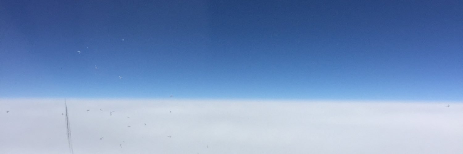 Merete Grimeland banner