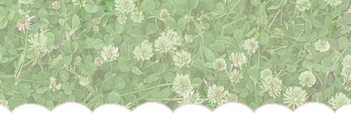 literallysua's profile banner image