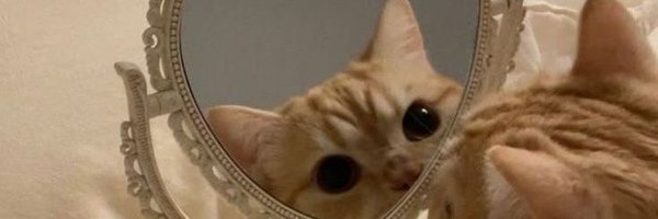 unsaid_wordddss Profile Banner