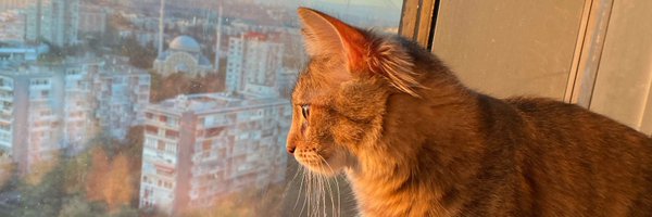 zillikus Profile Banner