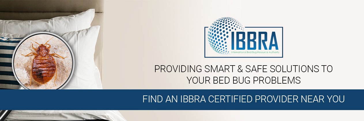 ibbrainfo's profile banner image