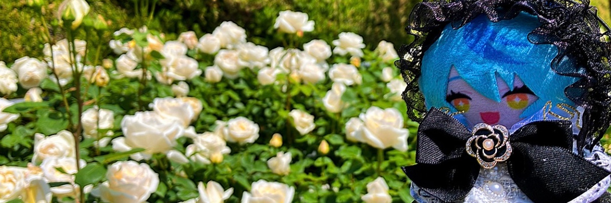 KOTOHAlo's profile banner image