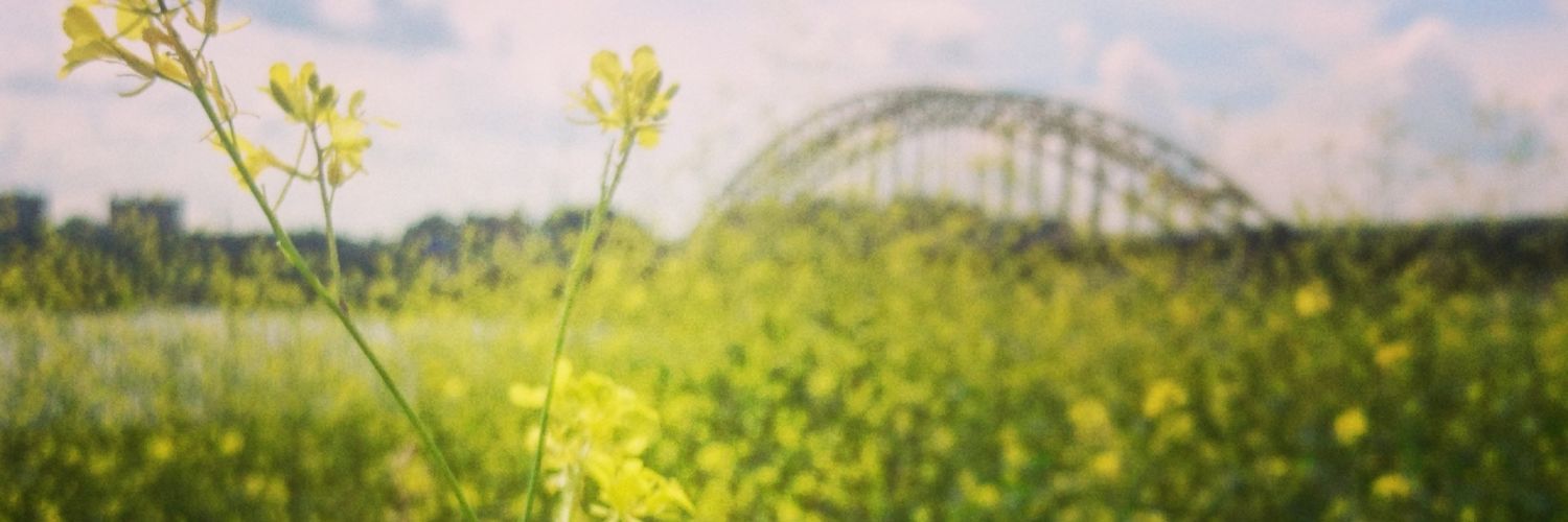 Lizanne Croonen banner