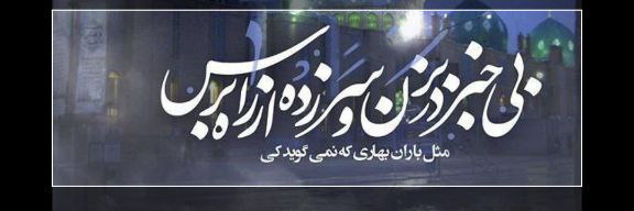 عارفه's banner