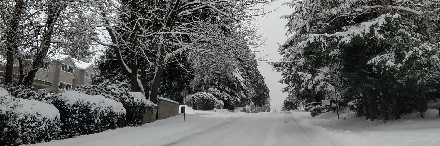 Ray_Fl0r3s's profile banner image