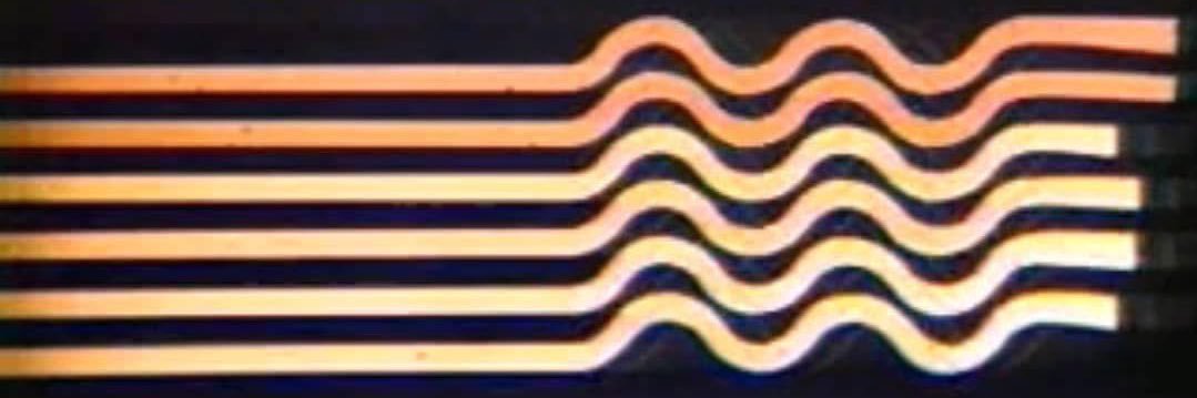 VirgoMagnolia banner