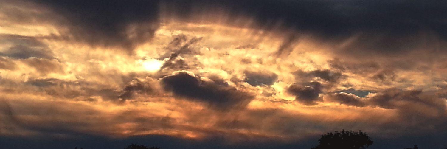 Jess Martinez 🇺🇸 banner