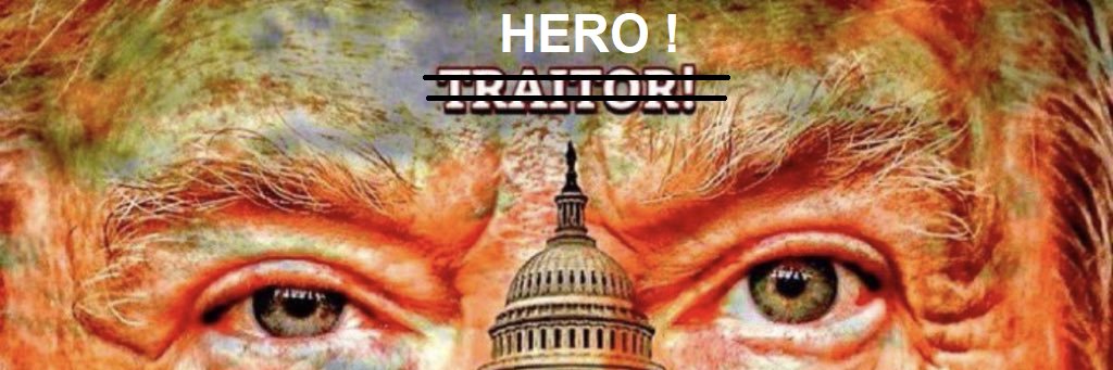 DrainTheSwamp2026 banner