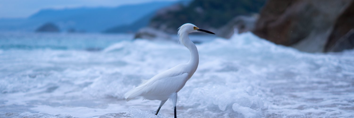 ALEX&ER the Alright Ⓥ☭🚲🎮🎲 banner