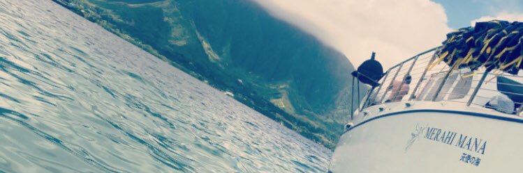 darianbacarella's profile banner image