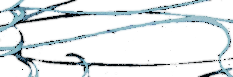 ‍‍ ‍‍ ‍‍‍‍ ‍‍ ‍‍‍‍ ‍‍ ‍‍‍‍𝑻𝑯𝑬 𝑯𝑼𝑵𝑻𝑹𝑬𝑺𝑺.'s banner
