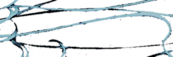 luarkedesire Profile Banner