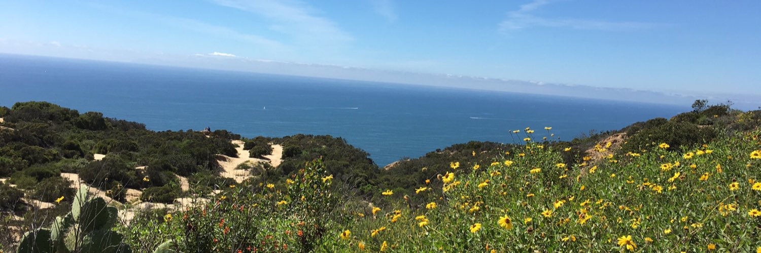 lynque123's profile banner image