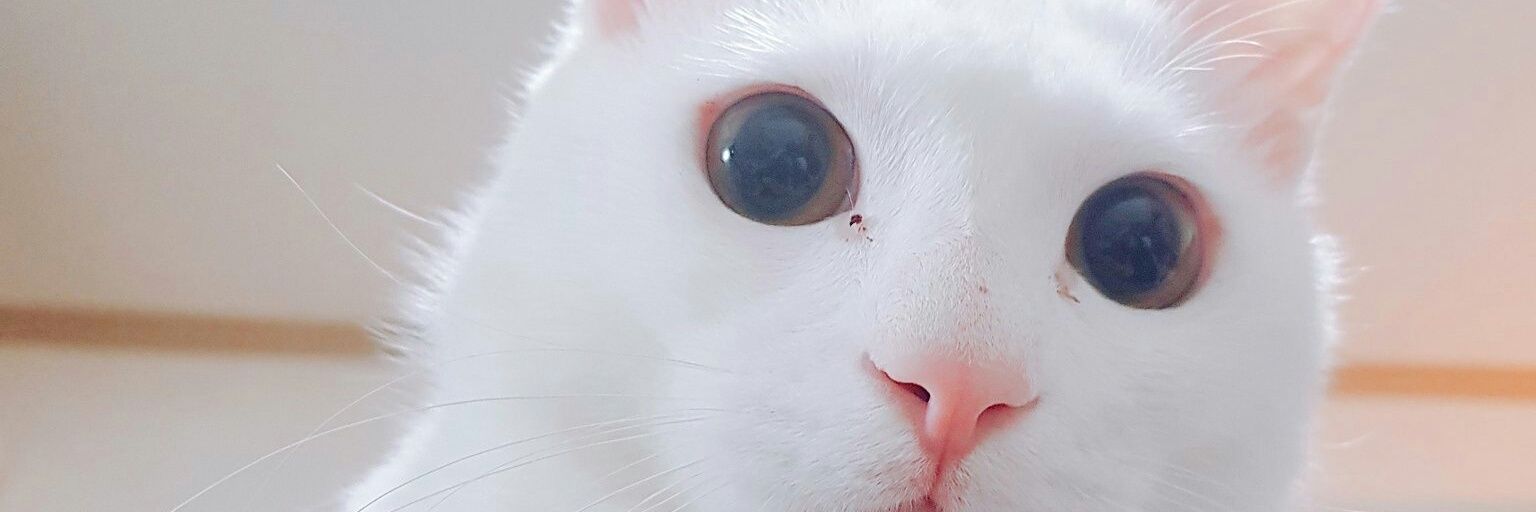 csm2030's profile banner image