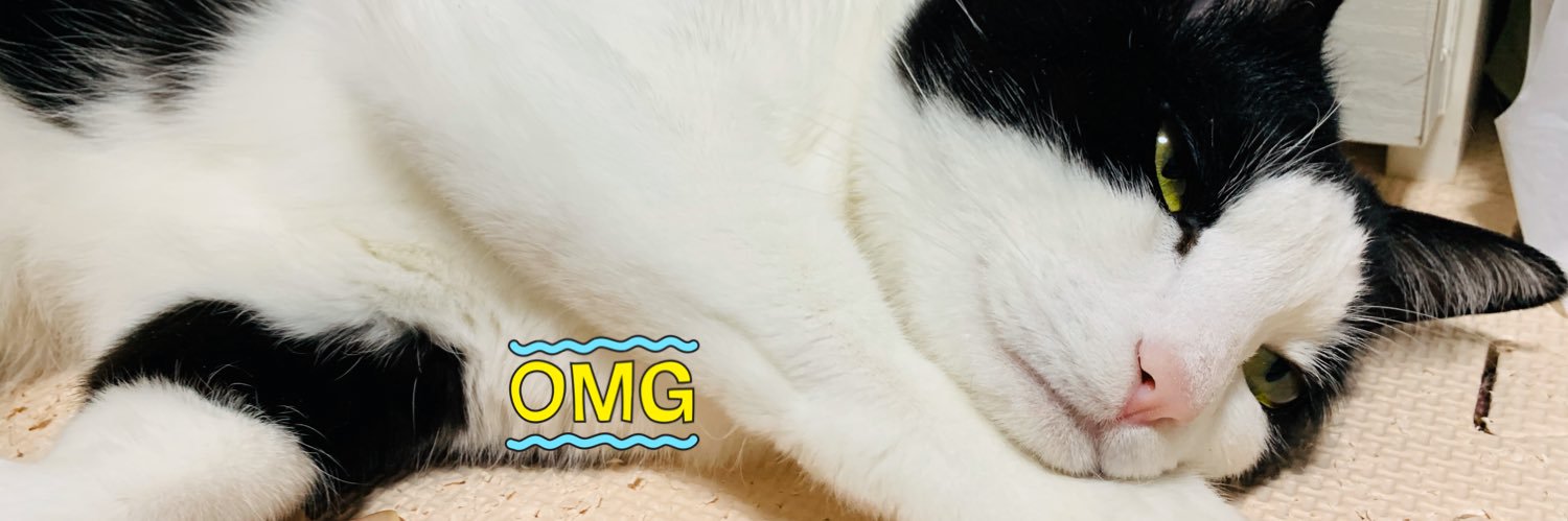 nnnnnn9246's profile banner image