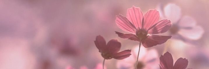 72_TM_'s profile banner image