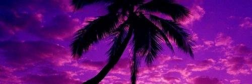 beesysinger's profile banner image