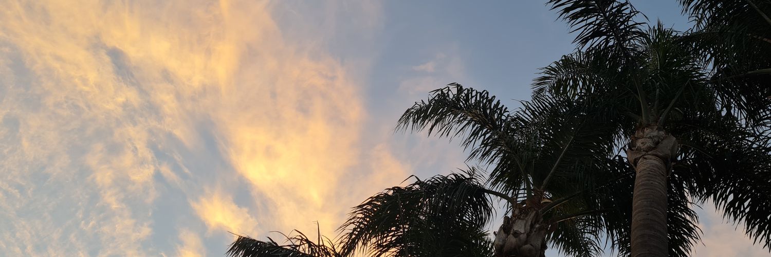 PaulaCroce's profile banner image