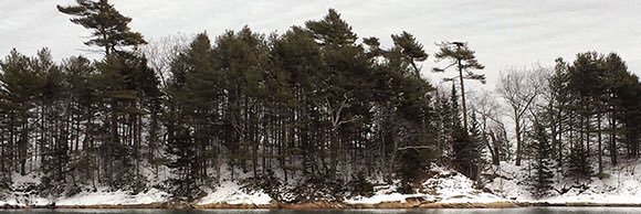 miloinmaine's profile banner image