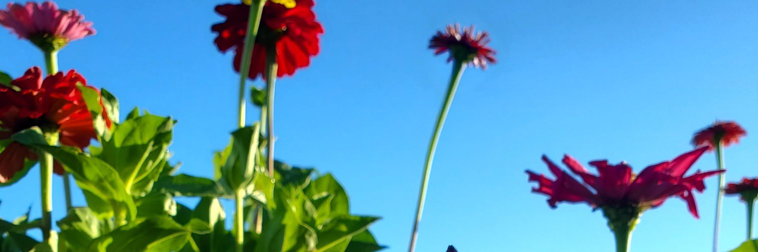 Mama_Mittens's profile banner image