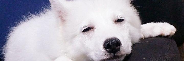k_arentoh's profile banner image