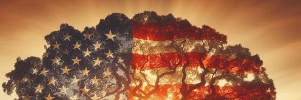 B_Rick99's profile banner image