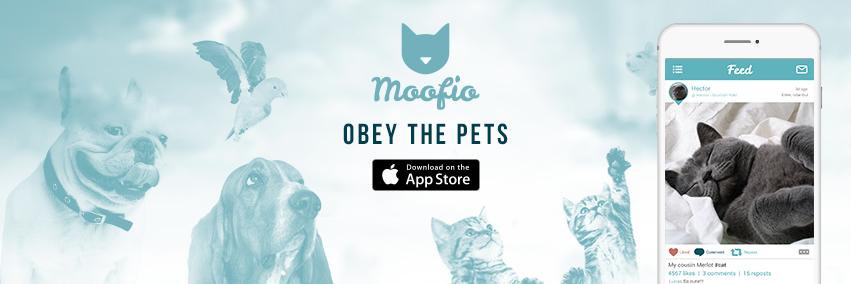 Moofio's profile banner image