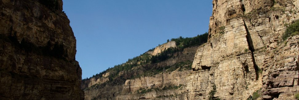 elconejo9's profile banner image
