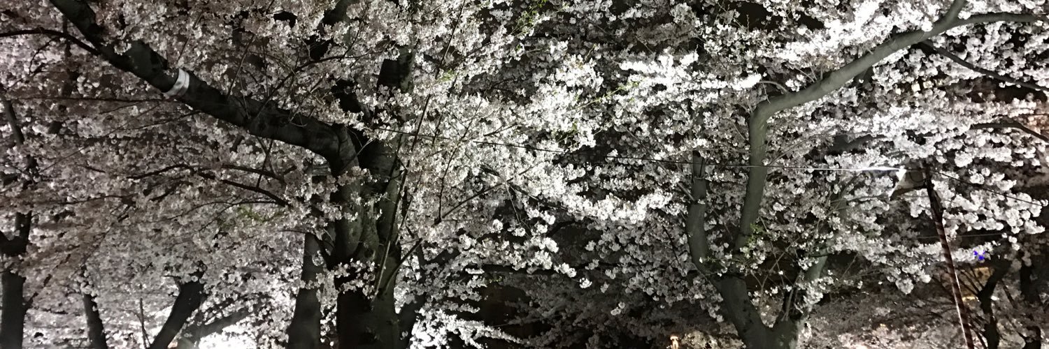pikav07's profile banner image