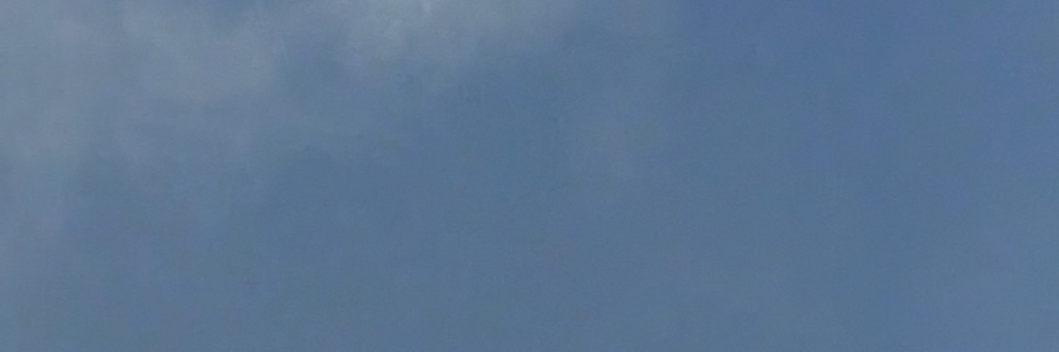 yanka banner