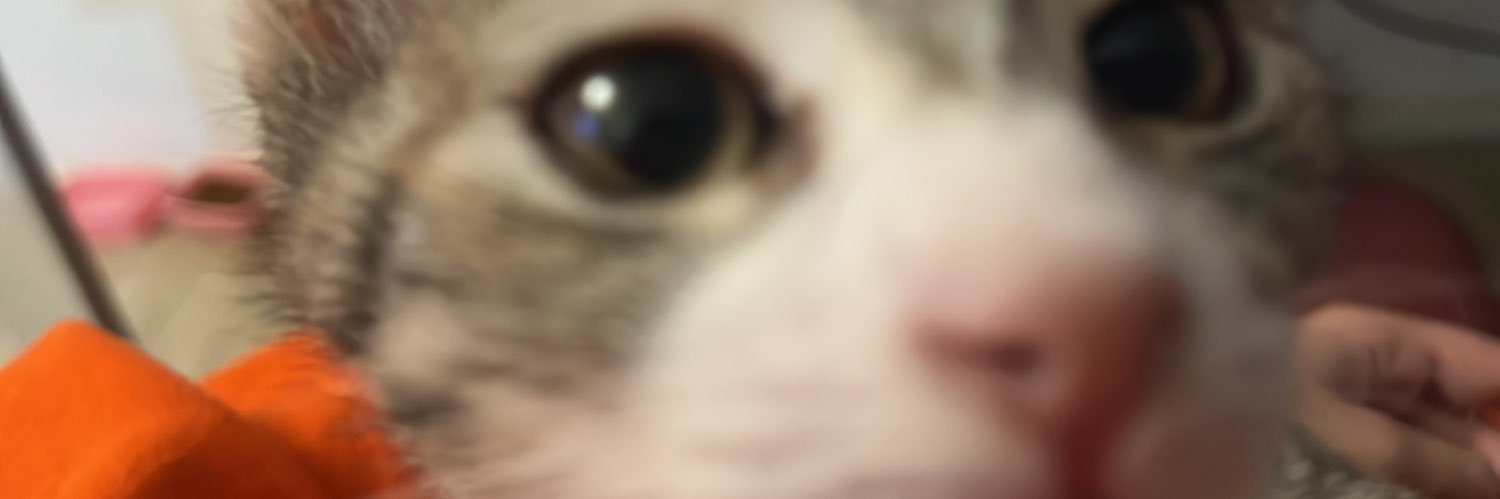 yote_explico's profile banner image
