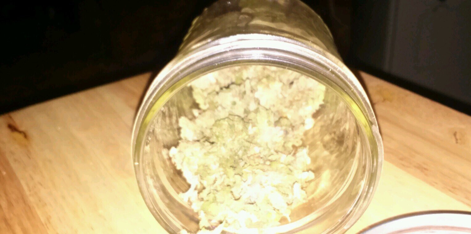 dawg the gr8  banner