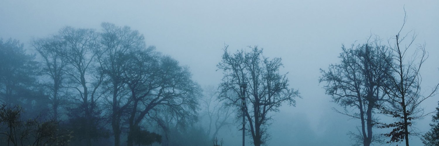 midnightfogs's profile banner image