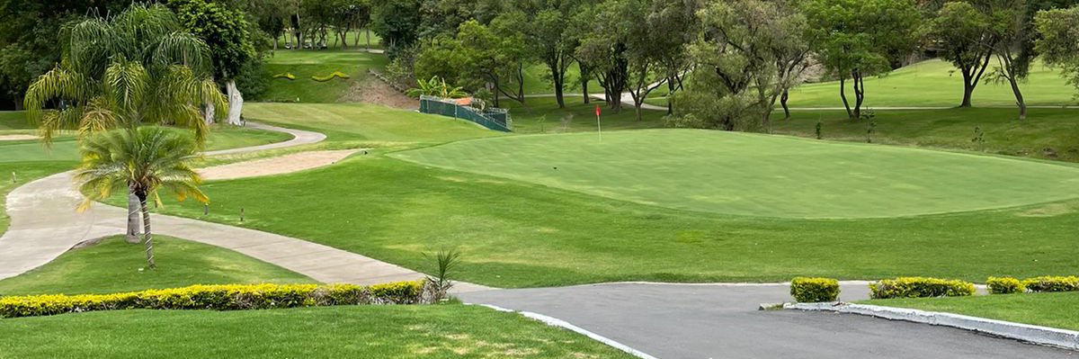 Adrian Aldrete banner