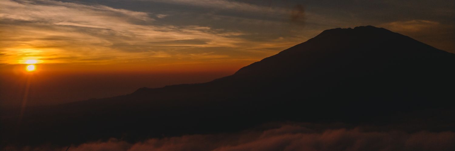 olesandria's profile banner image