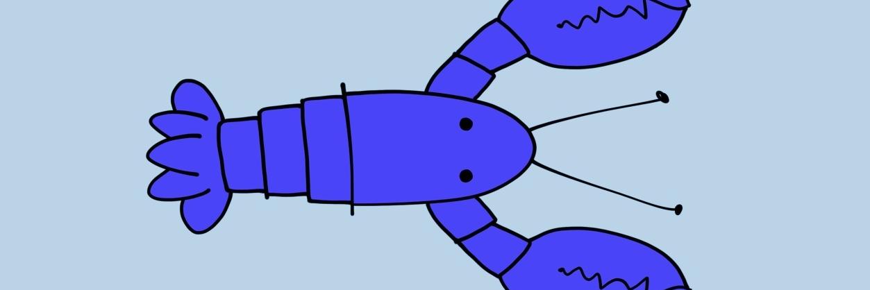 Deb Mills-Scofield banner