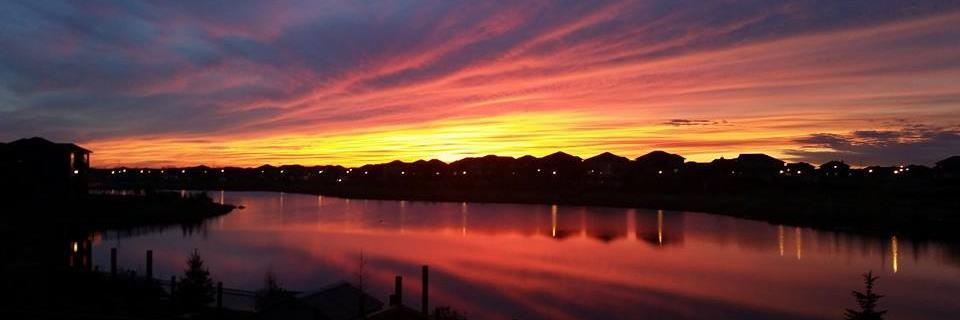 Serese Selanders banner