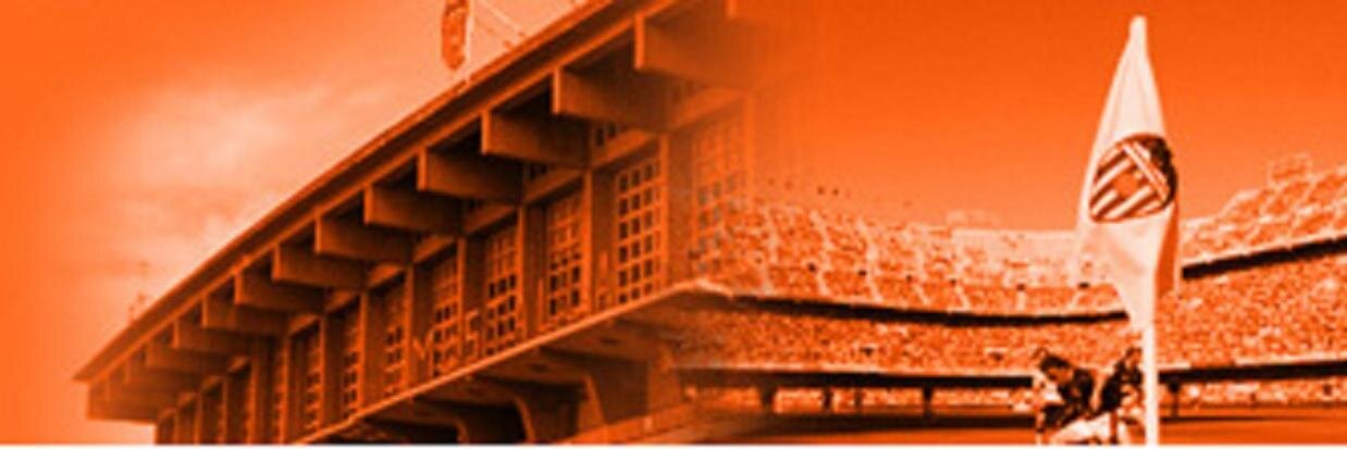 Diario de Mestalla banner