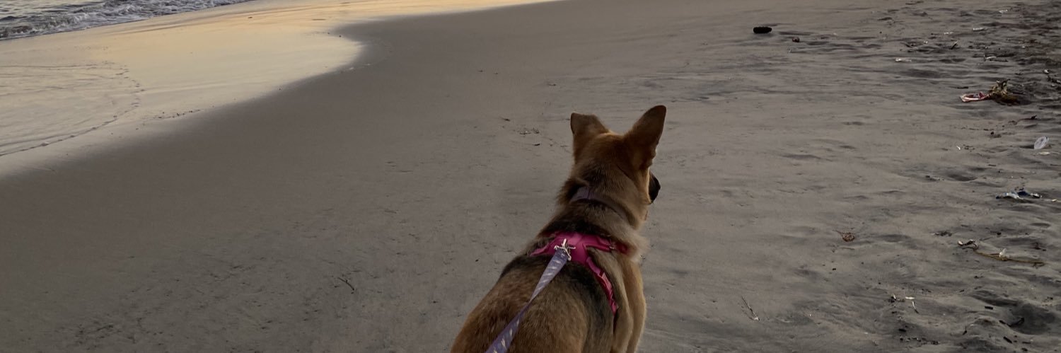 Desireblyy's profile banner image