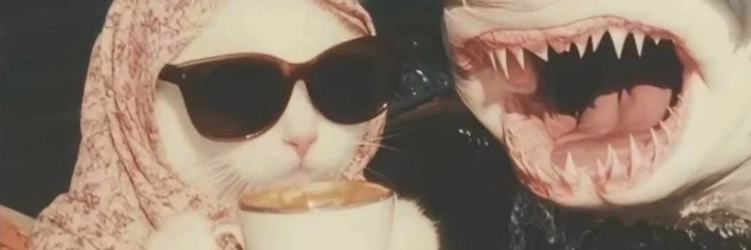 imnotyourtar🦊 banner