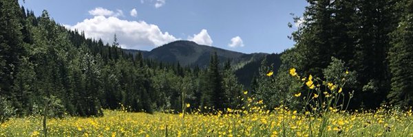 christacole74 Profile Banner