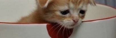 deiannss's profile banner image