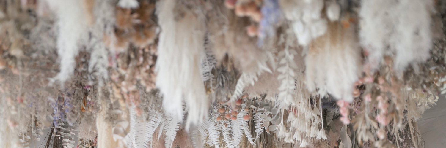 モコ ⚡︎ ☺︎︎ banner