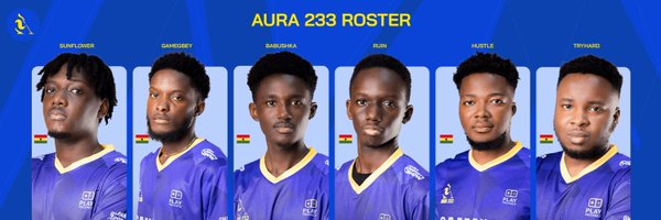 teamaura233 Profile Banner